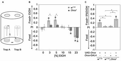 Key Odorants Regulate Food Attraction in Drosophila melanogaster